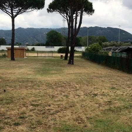 L'Alloggio Del Capitano Viareggio Luaran gambar