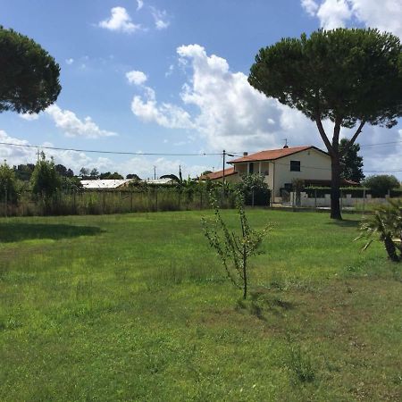 L'Alloggio Del Capitano Viareggio Luaran gambar